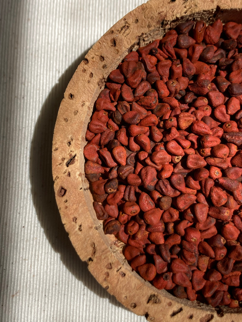 CREMA SOLAR con COCO y URUCUM - 100g
