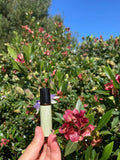 BLEND - REGULADOR NATURAL DEL HUMOR