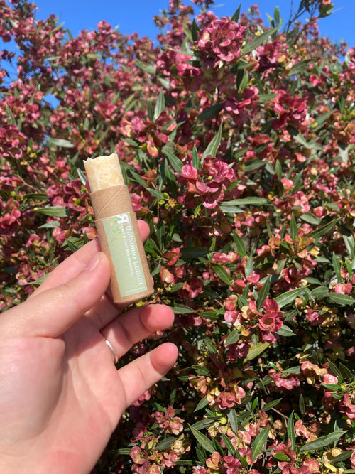 BÁLSAMO LABIAL - 30g